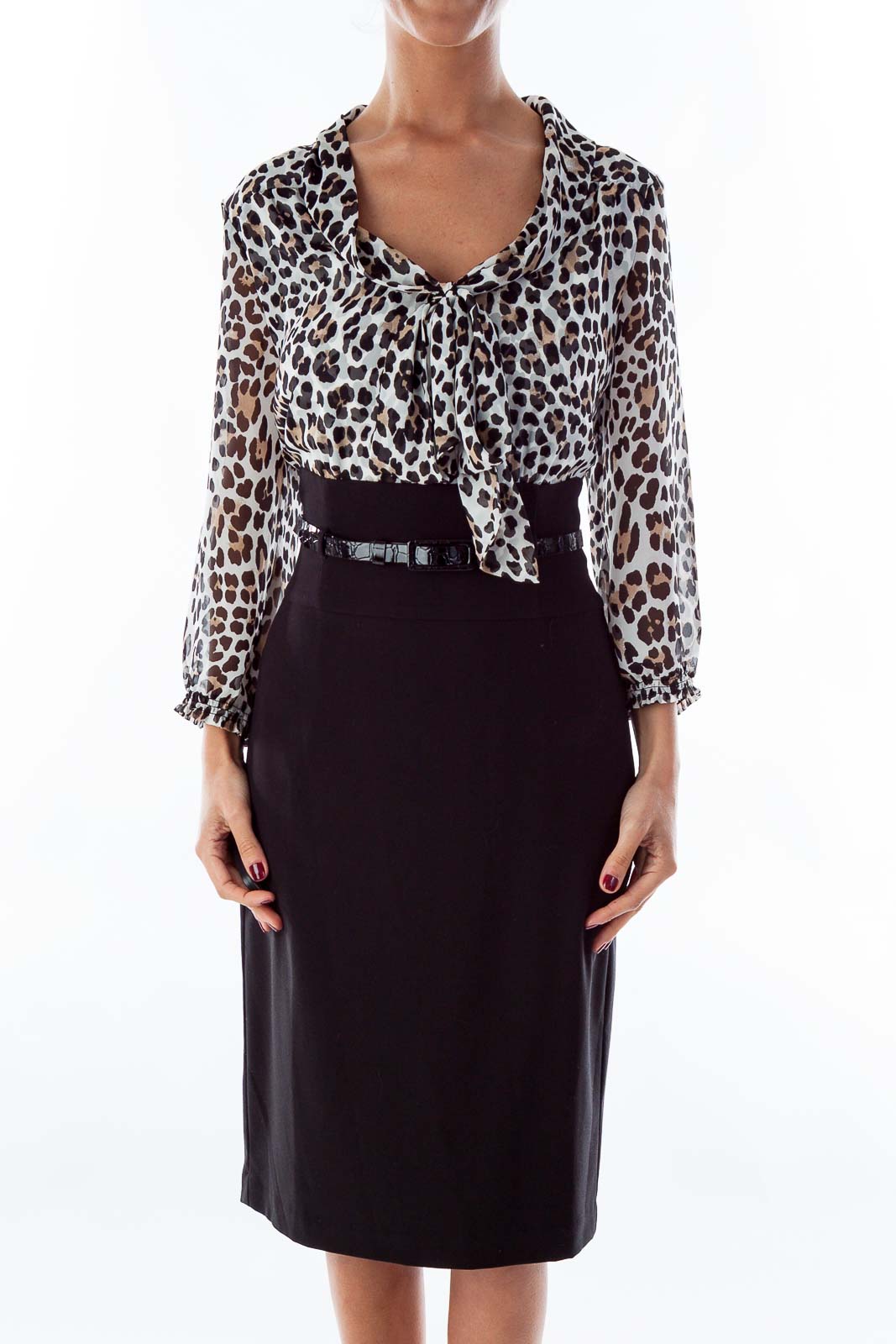 Leopard Print Belted Dress