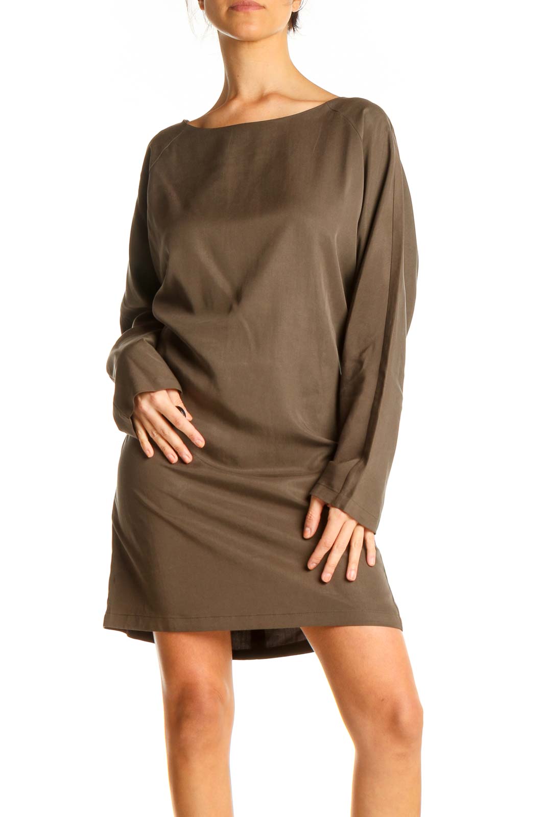 Brown Day Sheath Dress