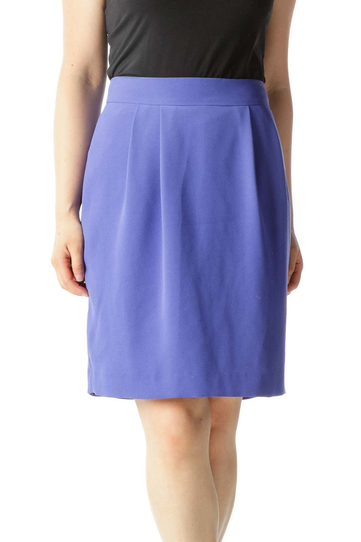 Blue Pleated Zippered A-Line Skirt