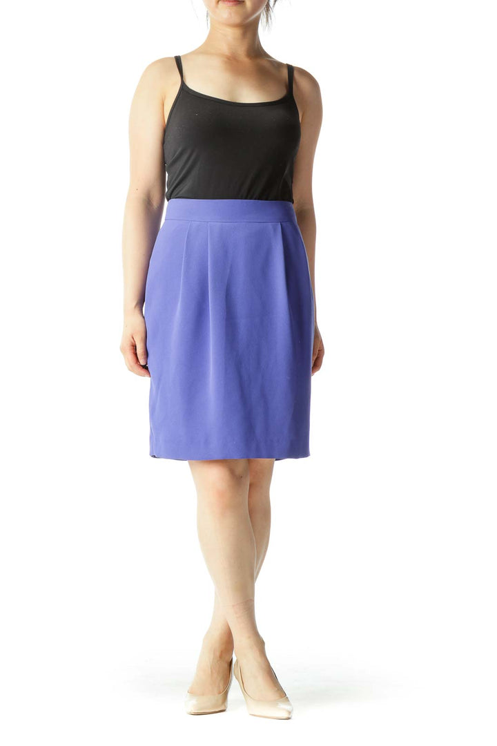 Blue Pleated Zippered A-Line Skirt