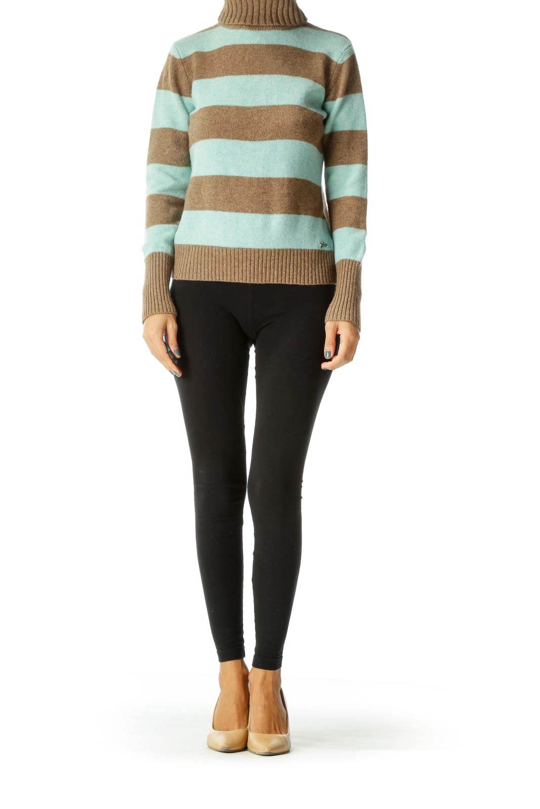 Blue and Brown Striped Turtle Neck