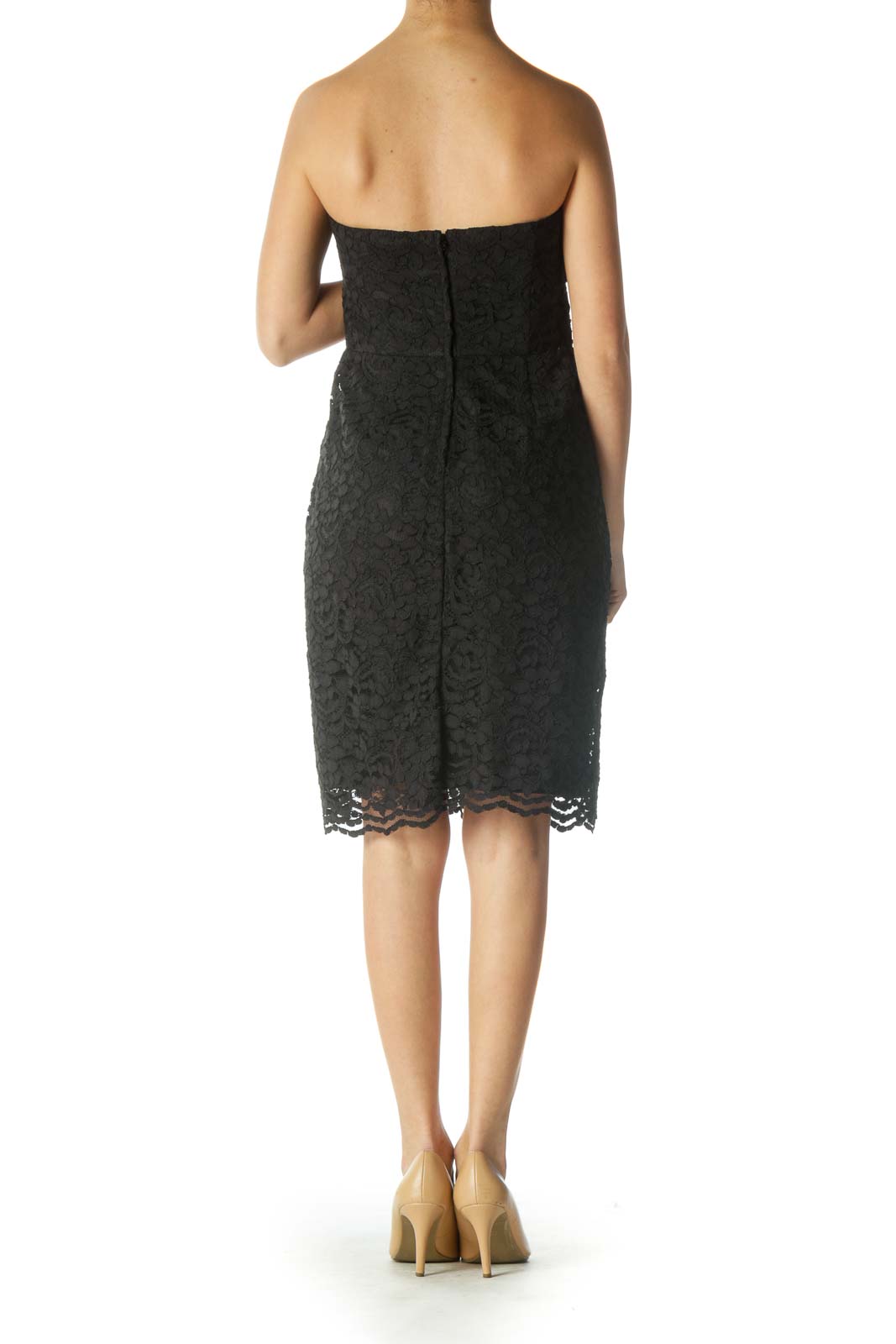 Black Lace Chic Sheath Dress