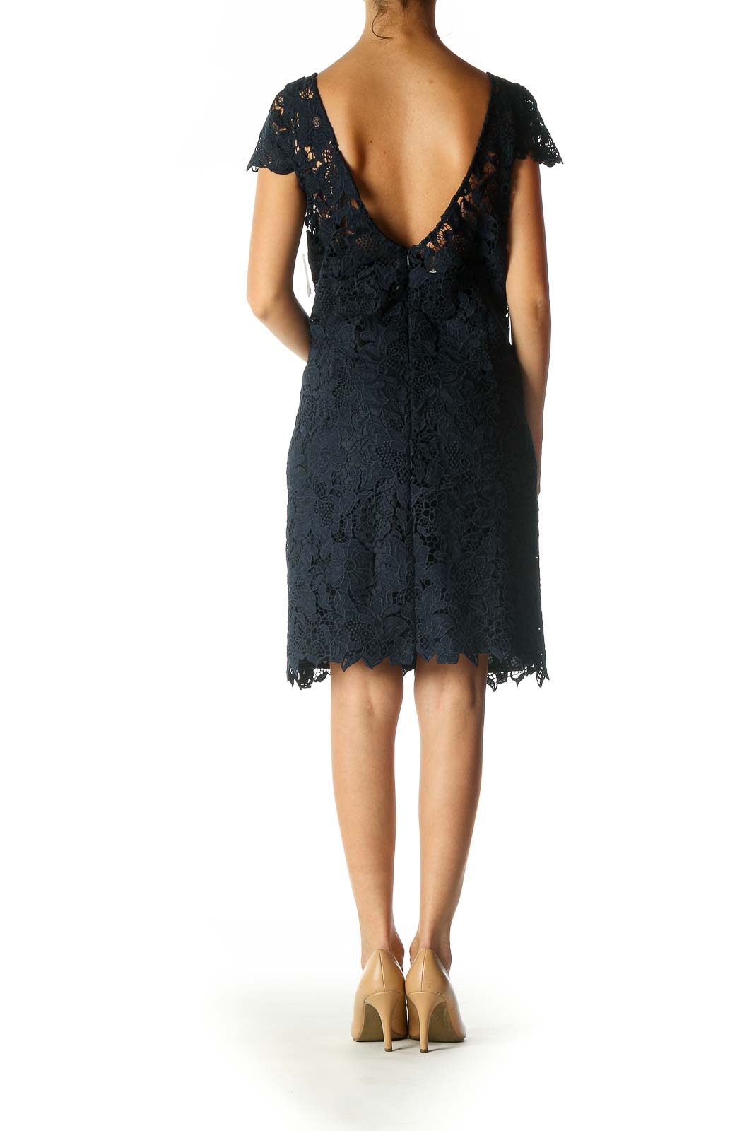 Navy Lace Chic Sheath Dress