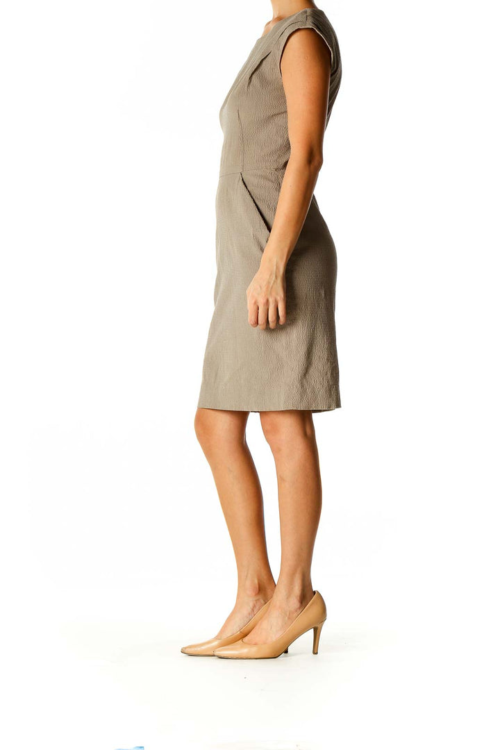 Beige Solid Classic Sheath Dress