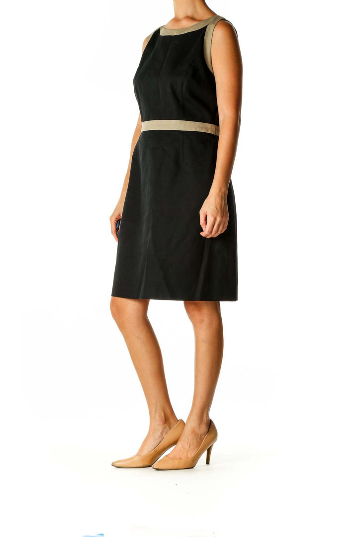 Black Solid Classic Sheath Dress