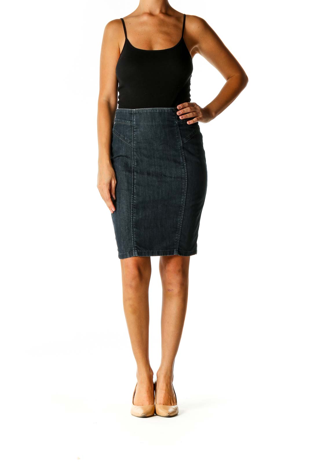 Blue Casual Pencil Skirt