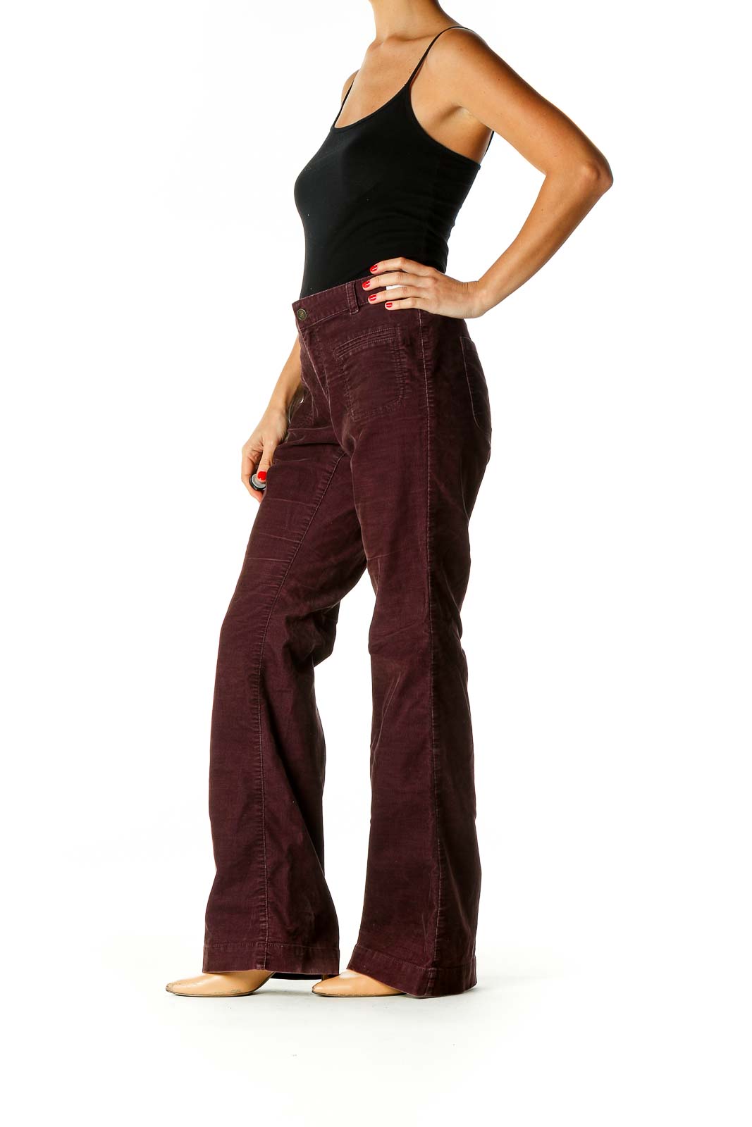 Purple Solid All Day Wear Trousers