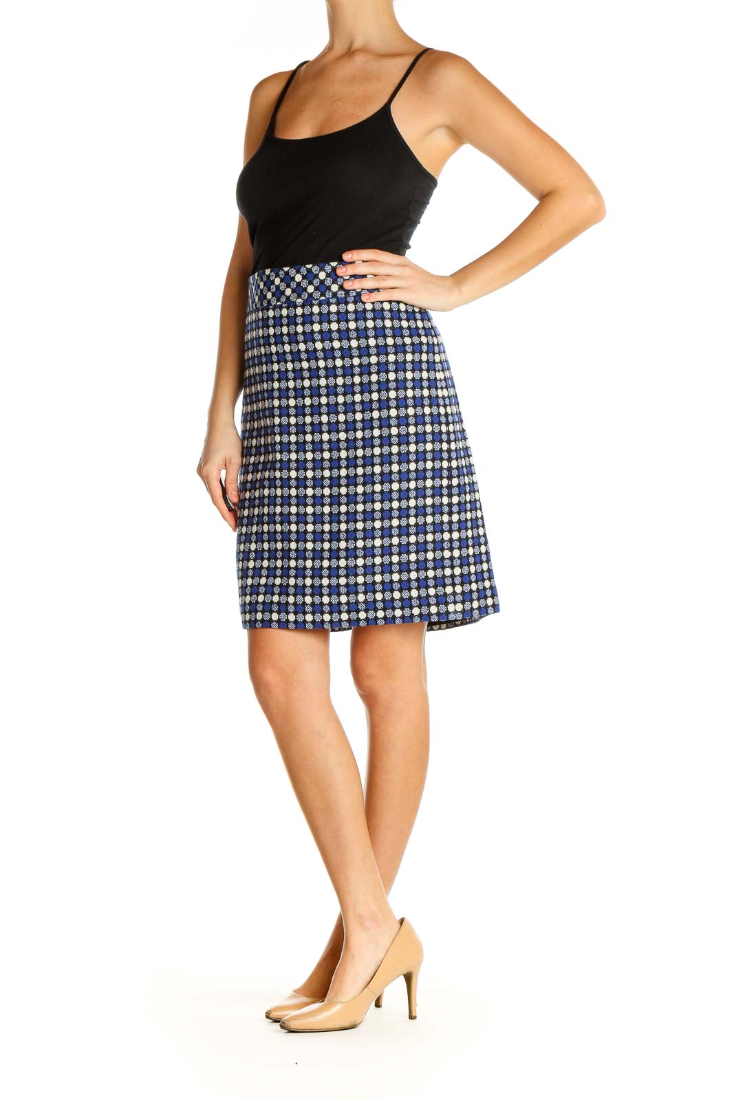 Blue Printed Brunch A-Line Skirt