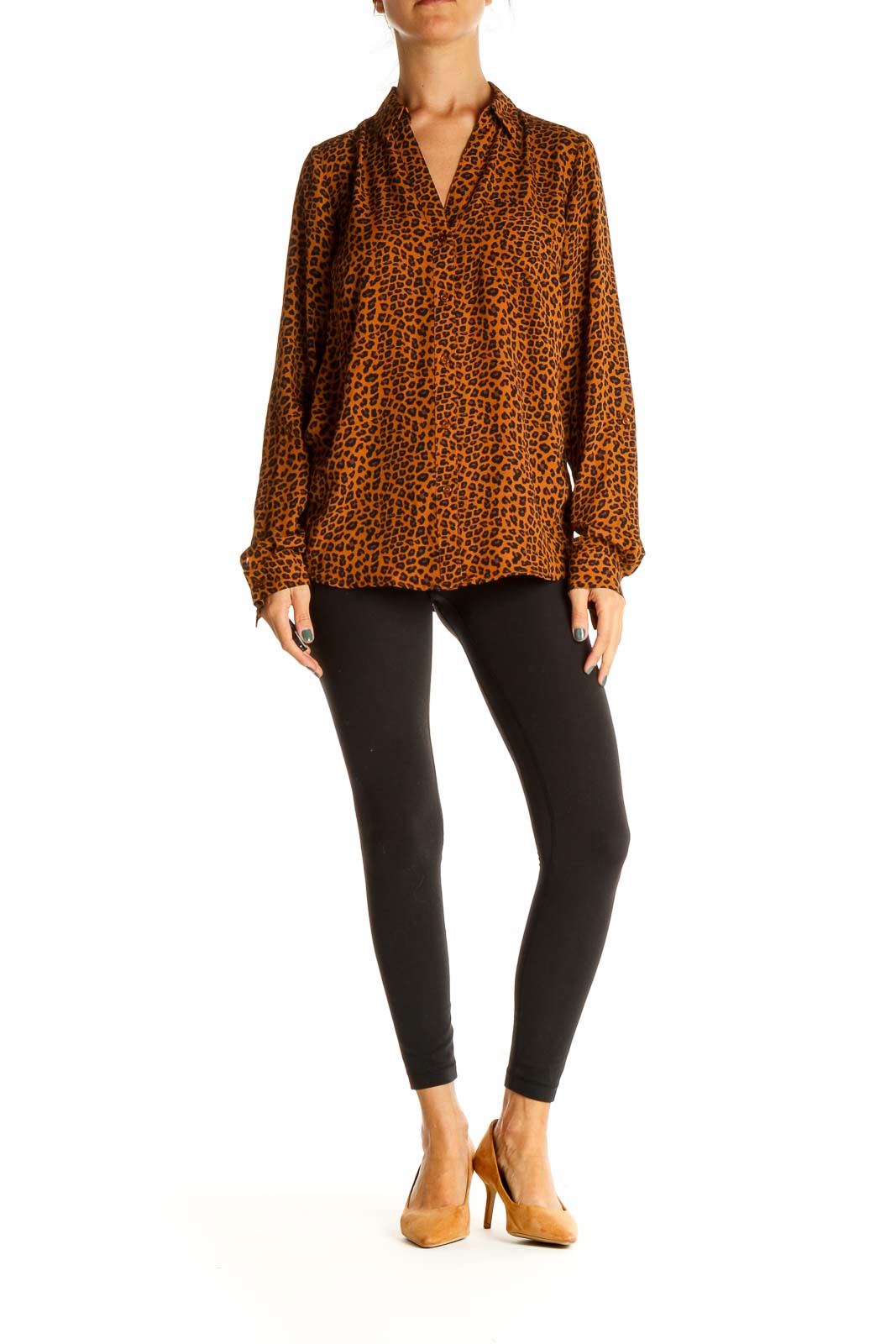 Brown Animal Print All Day Wear Shirt