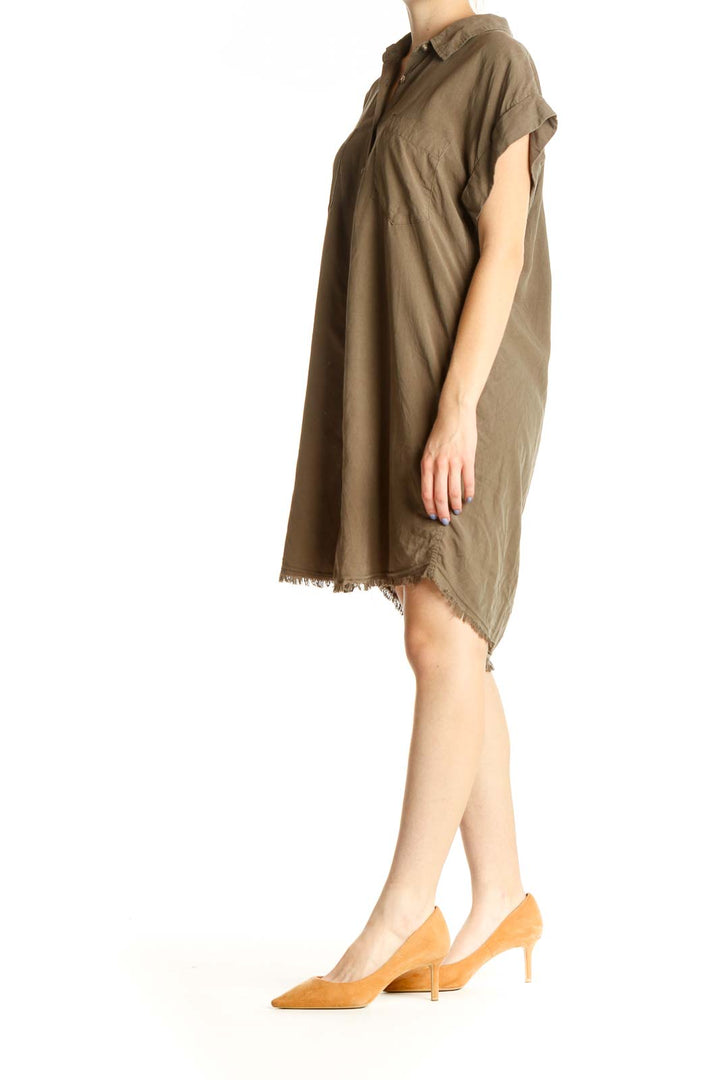 Brown Solid Day Shift Dress