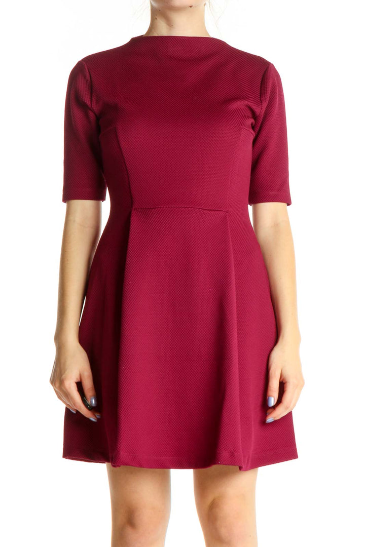 Pink Solid Classic Fit & Flare Dress