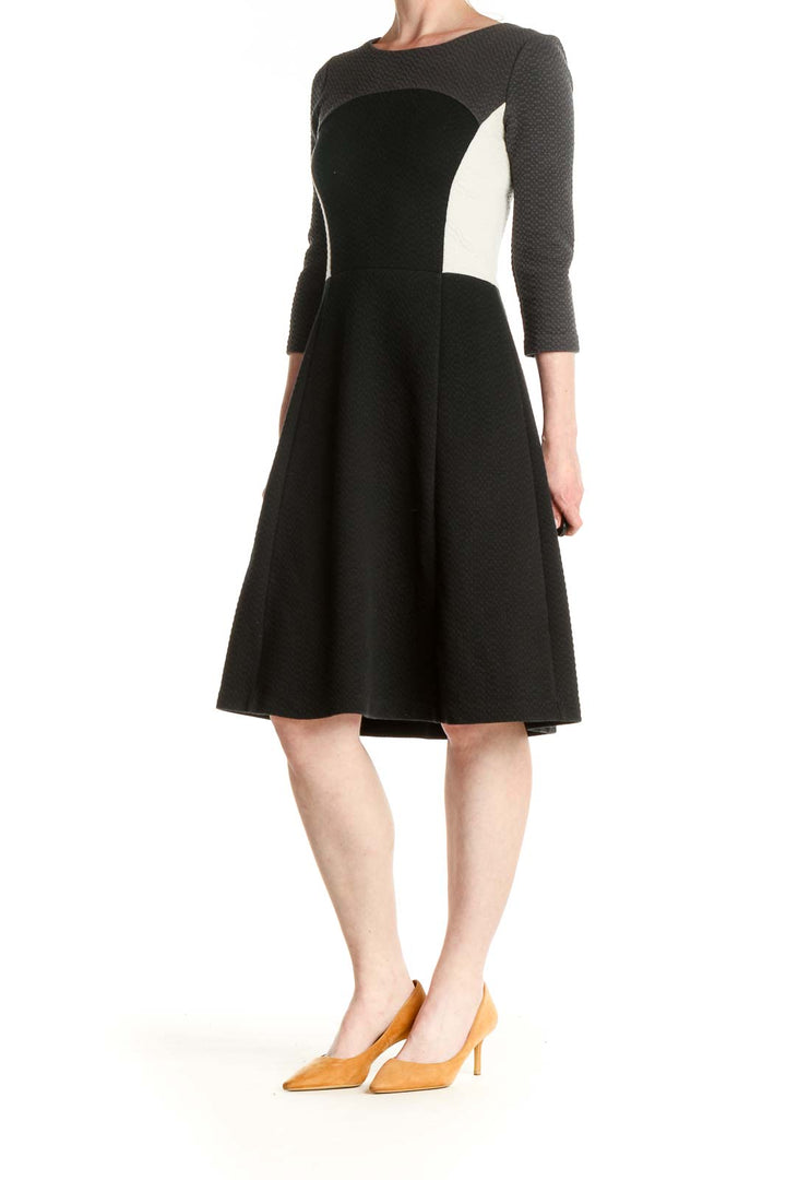 Black Solid Classic Fit & Flare Dress