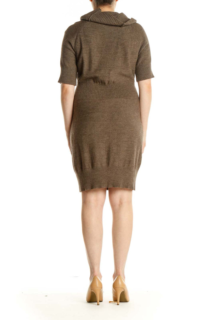 Brown Day Sheath Dress