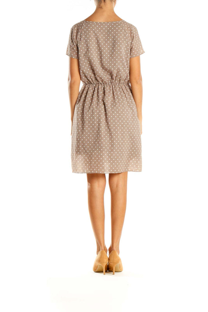 Brown Polka Dot Day Fit & Flare Dress