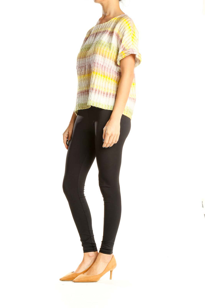 Multicolor Striped Casual Blouse