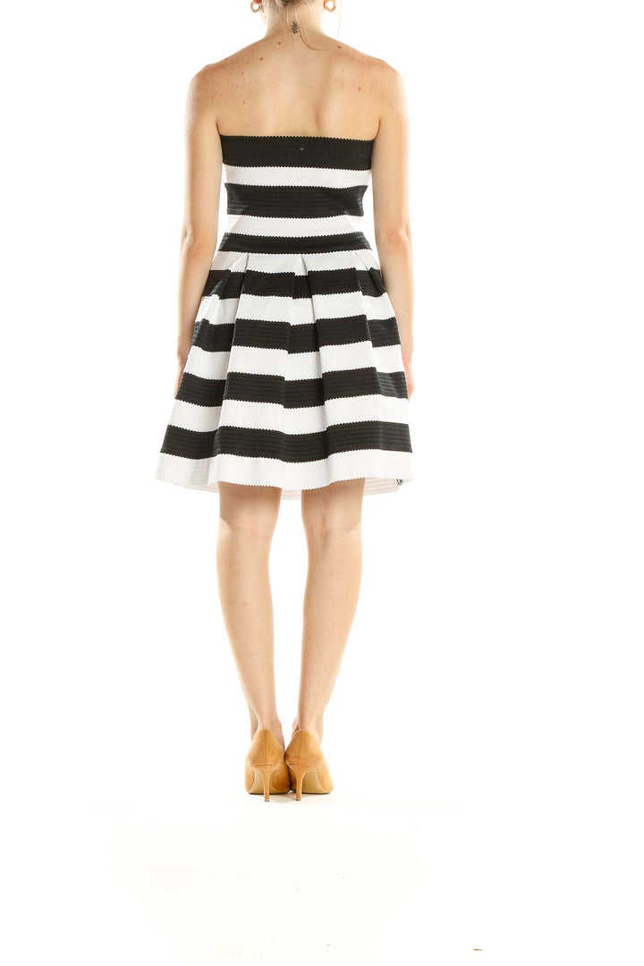 White Black Structured Striped Day Fit & Flare Dress