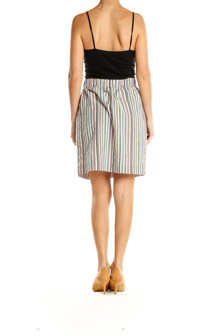 Multicolor Striped Chic Pencil Skirt