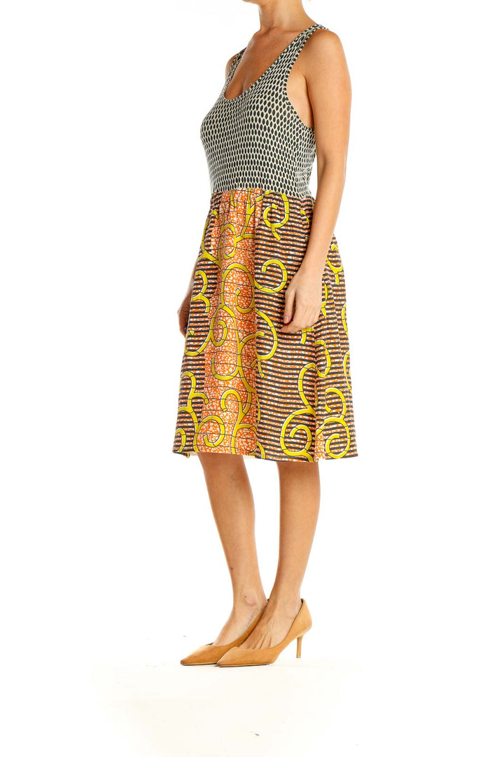 Multicolor Printed Textured Fit & Flare Dress