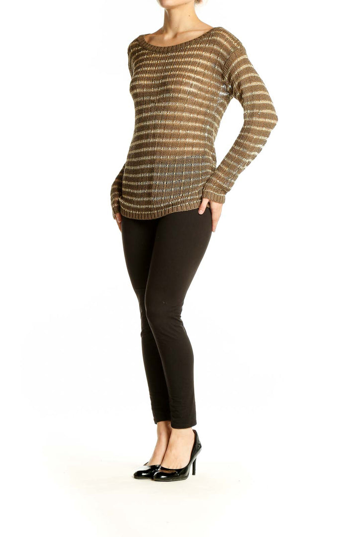 Front view of Banana Republic brown striped metallic knit sweater