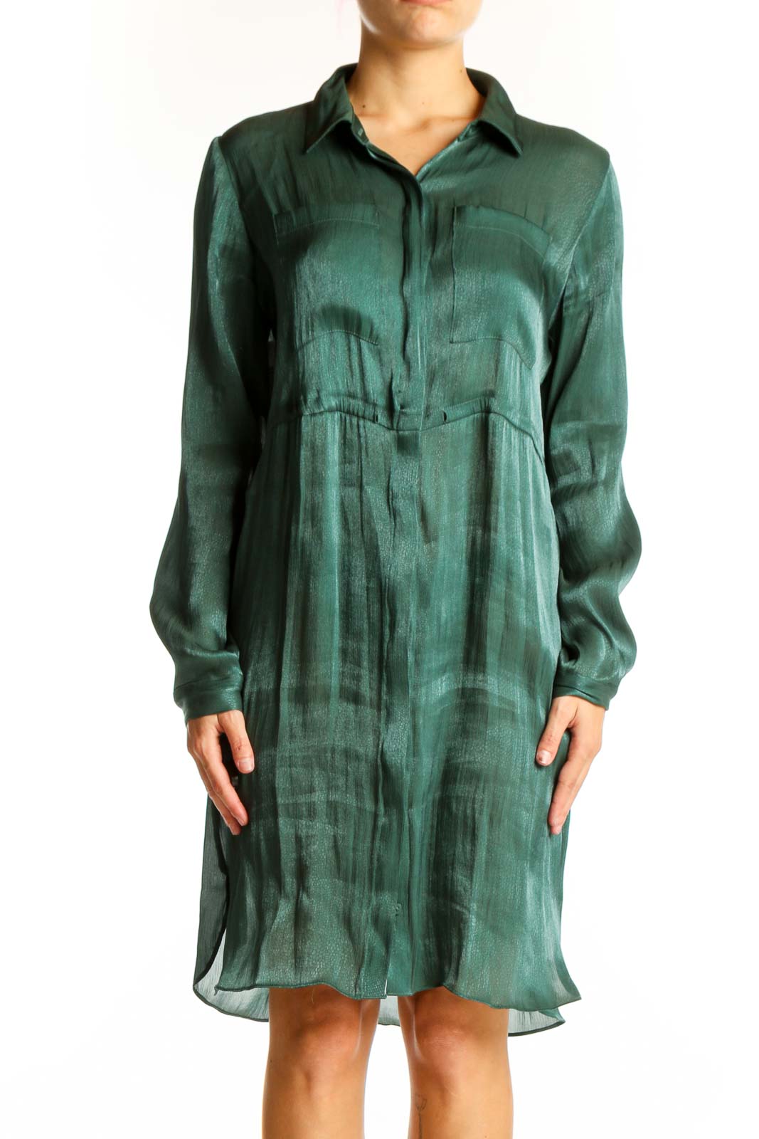 Front view of green sheer Alfani shirt dress with button-down front