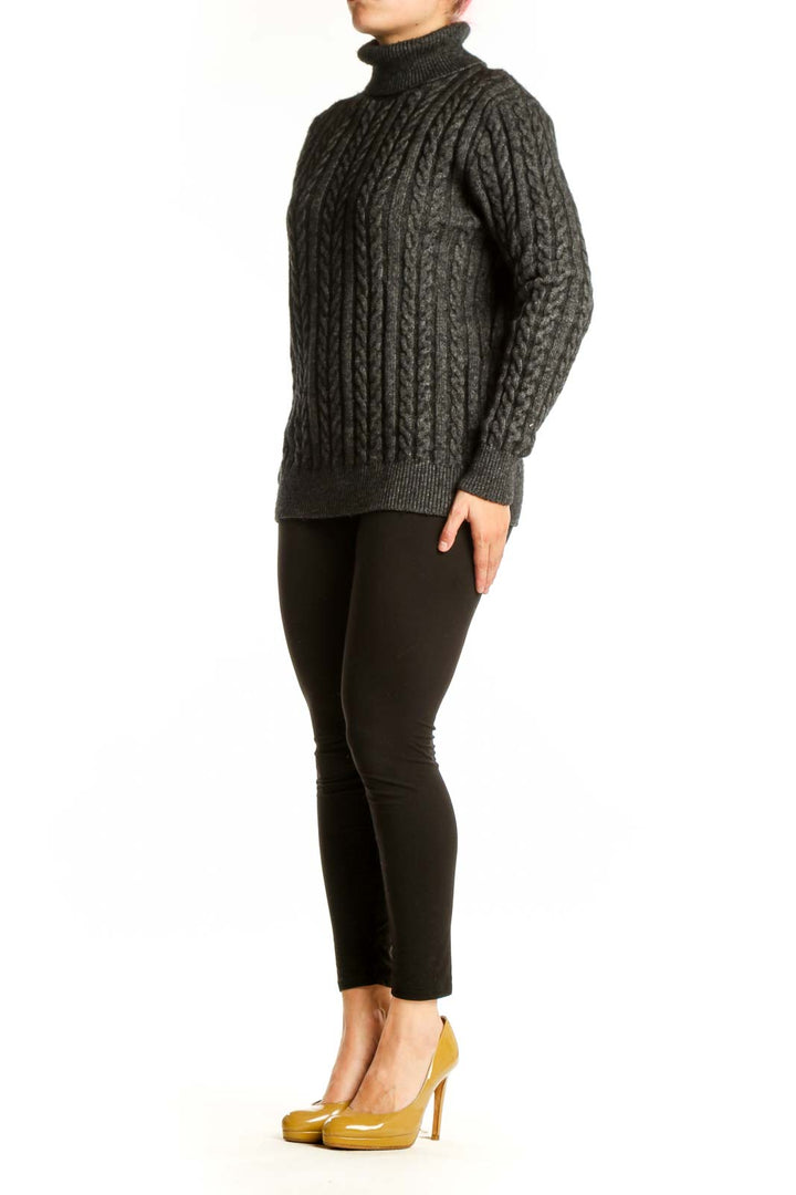 Charcoal gray cable knit turtleneck sweater by J.Crew with vertical cable pattern, front view