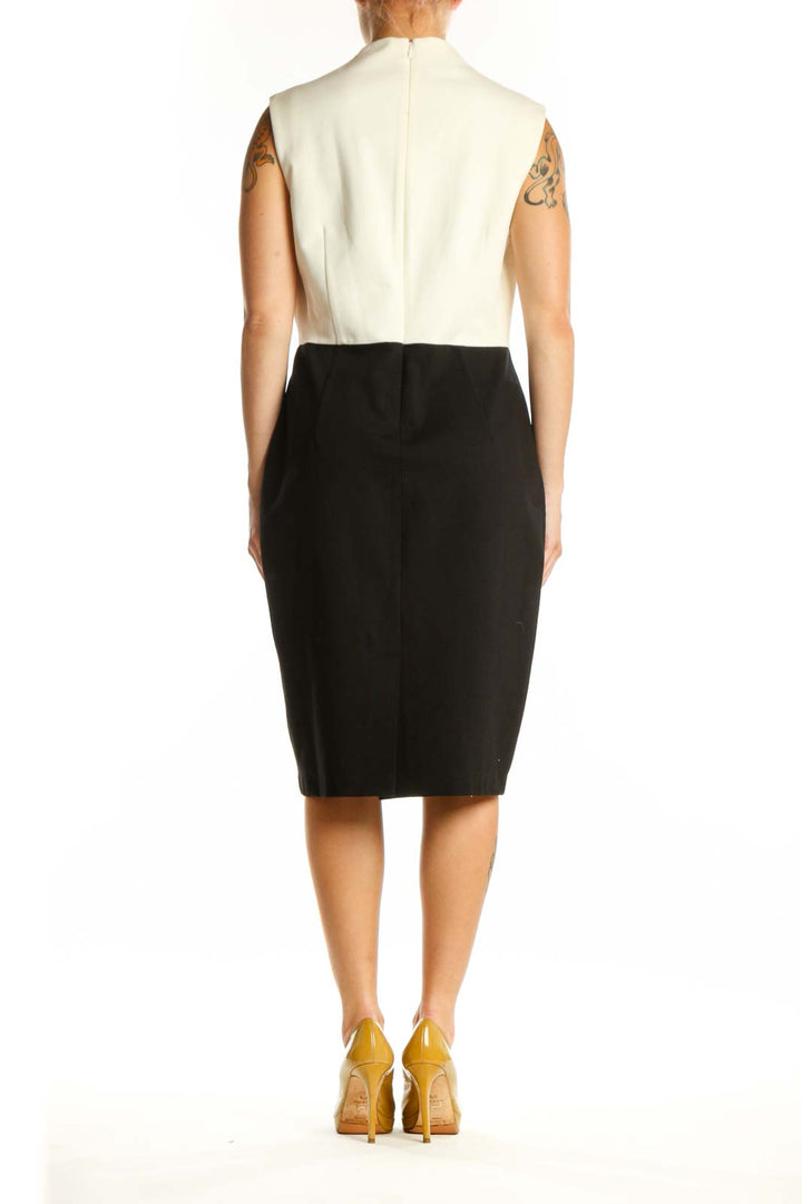 Back view of cream and black colorblock sleeveless dress showing elegant silhouette and draping